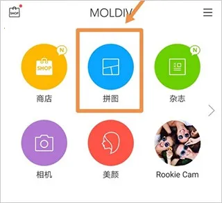 MOLDIV2025�ٷ�����