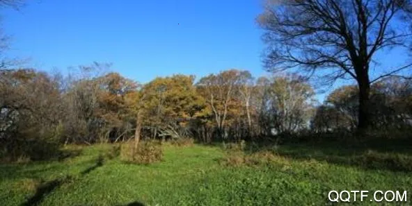 ������ý2026���ذ�װ