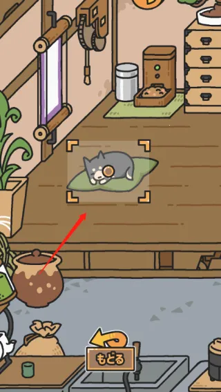 ������ʹ��2026���°汾