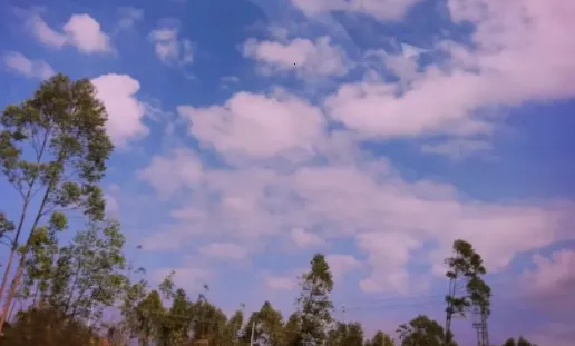 ����ȫ�����2026�ٷ����°汾