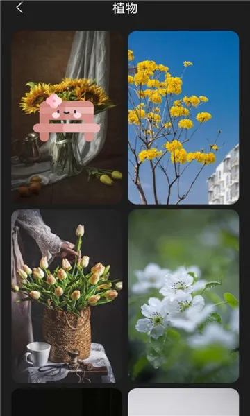 ������ֽ2026���°汾