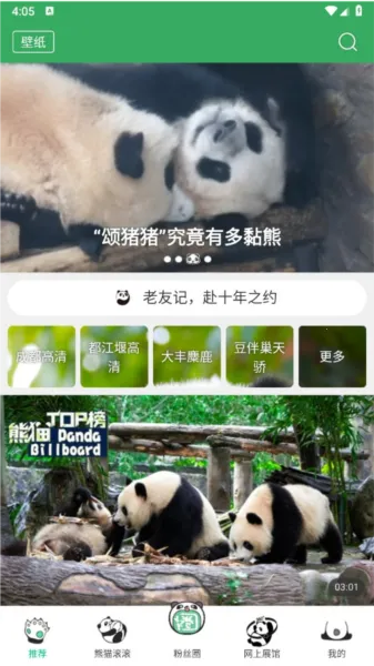 ��èƵ�������ֻ���