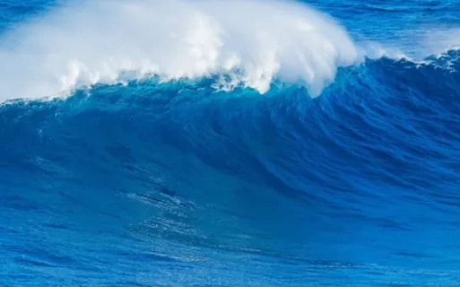 �������2026���ذ�װ