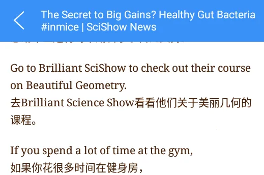 Ӣ��������