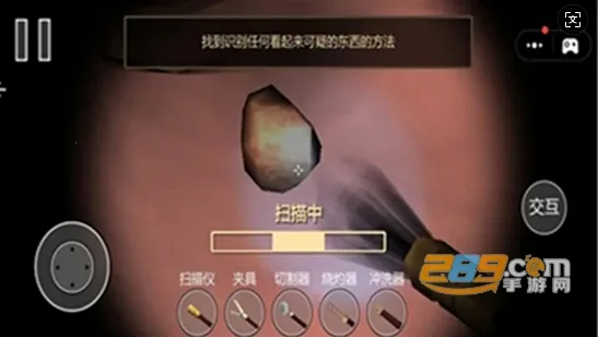 �󳦸���2026���ذ�װ