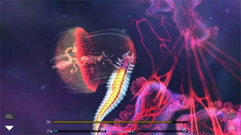 �𻨽���22026�ٷ�����