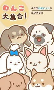 ����ȫ���ǰ�׿���ֻ���