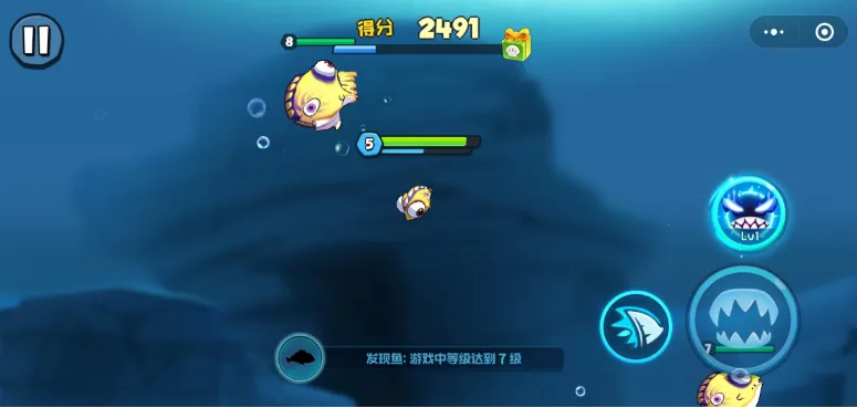 �������Ϸ