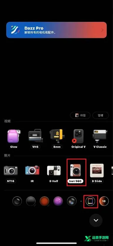 dazz����ƽ��