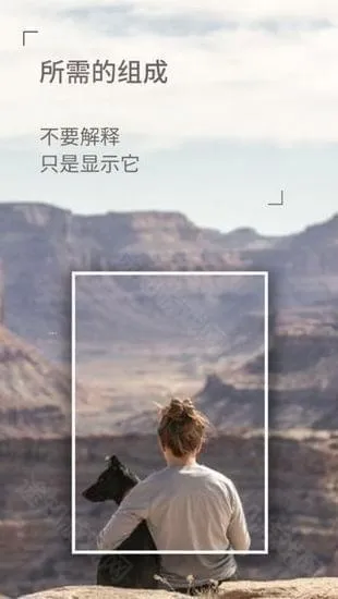 dazz����ƽ��