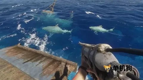 ���ǳ�ĵ�����