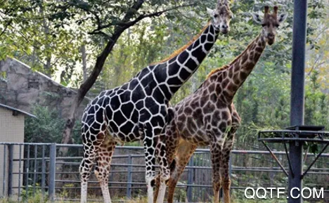 �й�����԰Э��