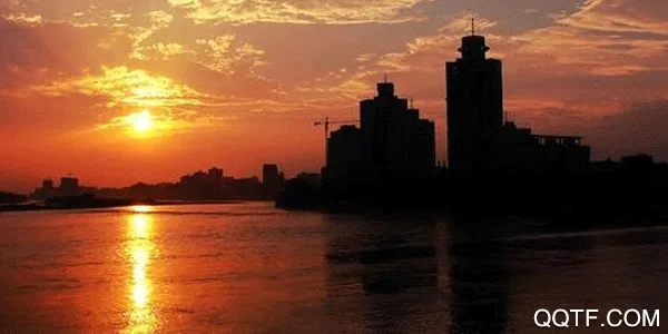 ������ý2026���°汾