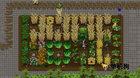 С���������ֻ���