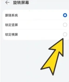 BoBo�����ȫ��ͨ