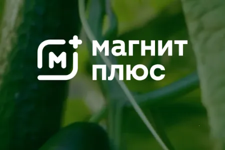 Magnit�̳ǰ�׿���ֻ���