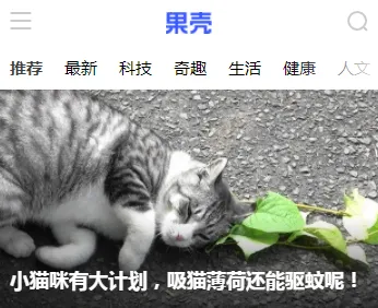 ����2026�ٷ����°汾