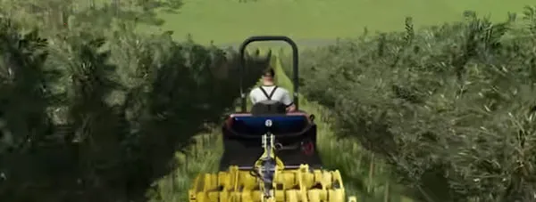 ģ��ũ��23ȫ��������������