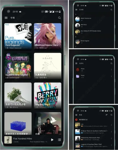 Salt Player��׿���ֻ���