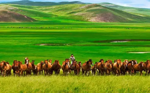 ��ԭȫý�����ֻ���