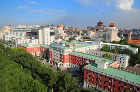 �����Ʒ���(������������)