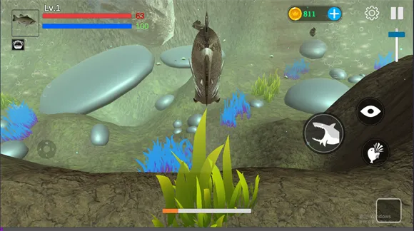 ���״���ɱ��������