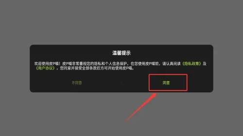 Ƥp��(�����Ķ�����)